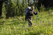 Wells Gray hiking in the meadow