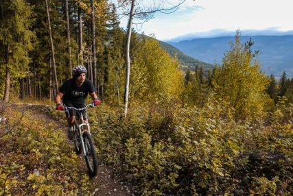 area8 mtn bike wells gray: Our Area